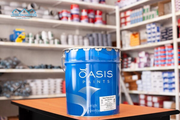 Plastic Oasis Paint