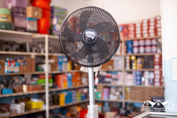 Standing Fan